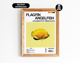 Póster de pez ángel de aleta bandera: arte digital personalizable para pared de acuario: impresión única para amantes de los acuarios, entusiastas de los peces y decoración del hogar