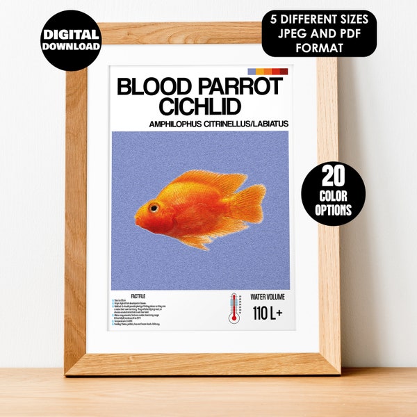 Blood Parrot Cichlid Fish Poster for Fish Wall Art Design & Aquarium Decor - Digital Print for Fish Lovers- Blood Parrot Cichlid Print