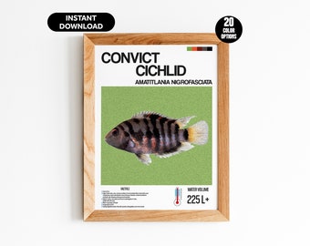 Póster de pez cíclido convicto: arte de pared digital personalizable para acuarios: impresión única para amantes de los acuarios, entusiastas de los peces y decoración del hogar