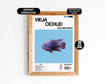 Póster de pez cíclido Vieje: arte digital personalizable para pared de acuario: impresión única para amantes de los acuarios, entusiastas de los peces y decoración del hogar
