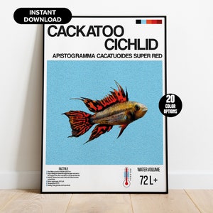 Kaktus Buntbarsch Aquarium Poster - Digitale Wandkunst - Tropisches Fisch Dekor - Informative Fischkarte - Sofortdownload - Aquarium Hobby