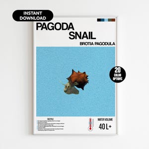 May include: A printable poster featuring a Pagoda Snail, also known as Brotia Pagodula, with a blue background. The poster includes the snail's name, scientific name, and water volume requirements of 40 liters or more. The poster is available in 20 color options.