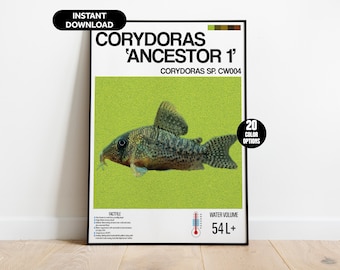 May include: A printable poster featuring a Corydoras 'Ancestor 1' fish with a green background. The poster includes the scientific name Corydoras SP. CW004 and the text '20 Colour Options'.