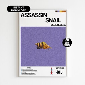 May include: A framed print featuring an Assassin Snail, Clea Helena, against a purple background. The print includes the text "Assassin Snail" and "Instant Download". A black circle indicates "20 Color Options". The water volume is 40L+.