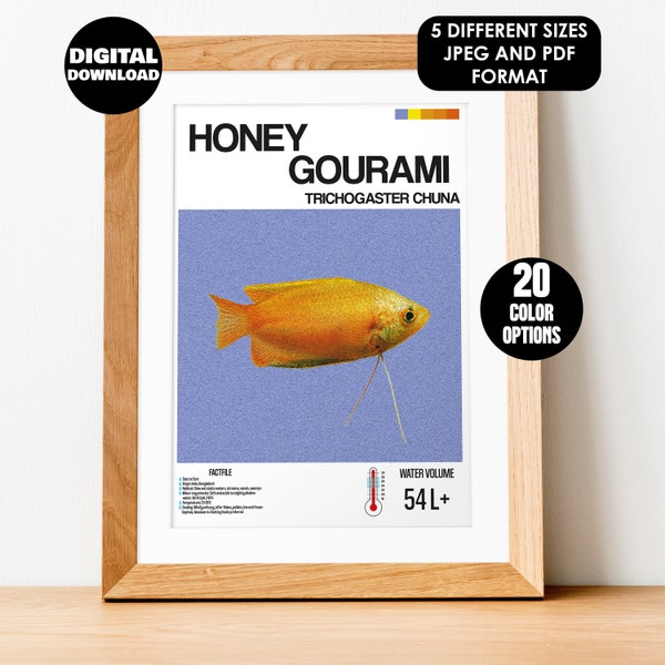 Honey Gourami Fish Poster for Fish Wall Art Design & Aquarium Decor - Digital Print for Fish Lovers- Honey Gourami Fish Print