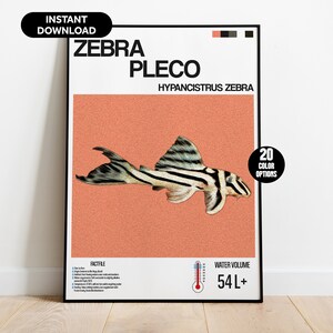 Zebra Pleco Fish Poster - Customizable Digital Aquarium Wall Art - Unique Print for Aquarium Lovers - Fish Enthusiasts - Home Decor