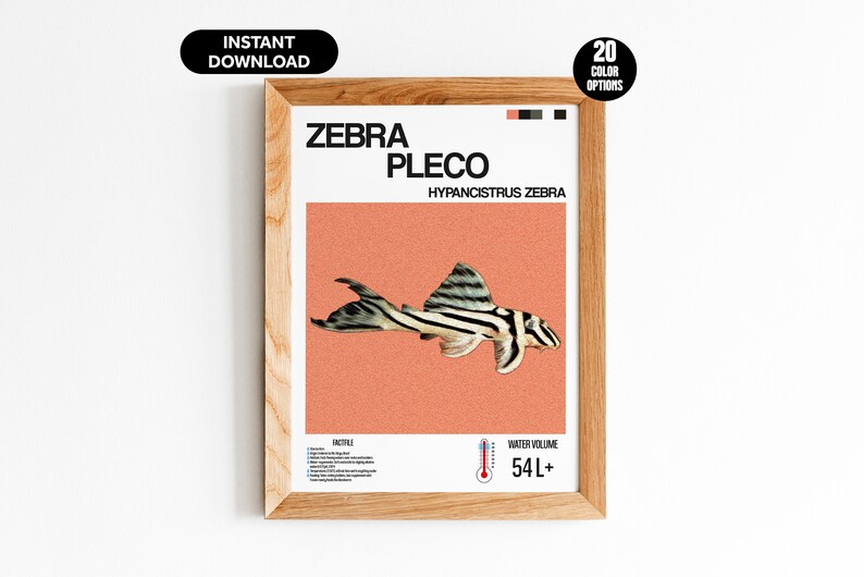 Zebra Pleco Fish Poster for Fish Wall Art Design & Aquarium Decor Digital Print for Fish Lovers Zebra Pleco Fish Print image 5