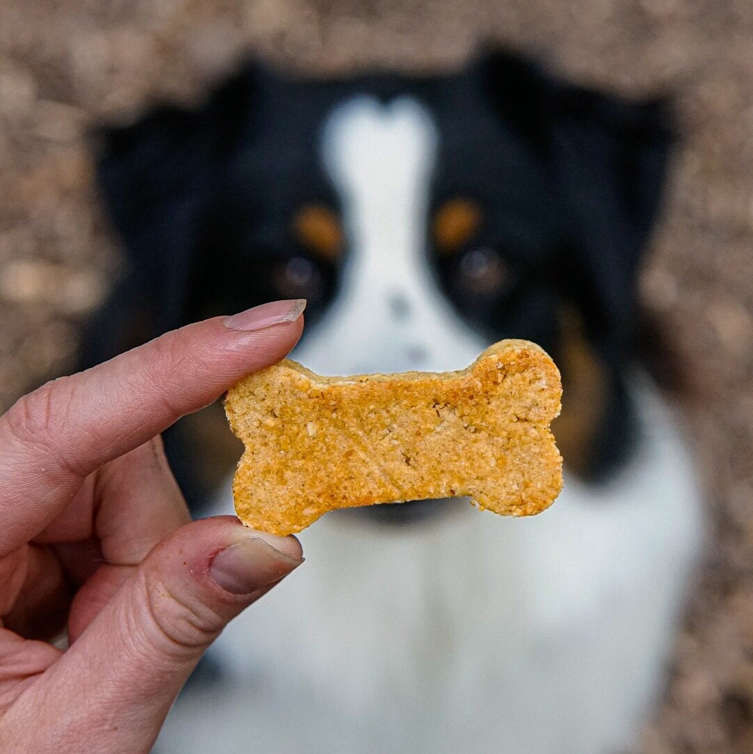 Fresh Baked Dog Treats Etsy