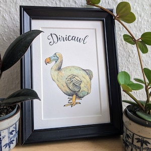 Karte Diricawl Harry Potter, Dodo
