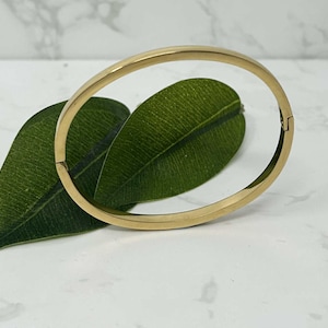 Può includere: Un braccialetto rigido color oro con un design semplice e arrotondato. Il braccialetto è mostrato su una superficie bianca con foglie verdi. Il braccialetto ha una chiusura a fermaglio. È un gioiello.