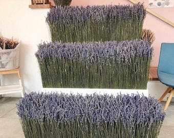 Wholesale Dried French Lavender Bundles
