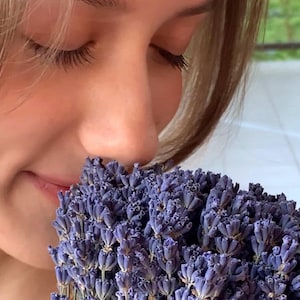 May include: A person smelling a bunch of purple lavender flowers. The lavender is in full bloom, with small, tightly packed purple flowers. The person's eyes are closed, and their face is close to the flowers.