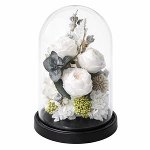 Dôme sous verre pivoine blanche stabilisée | Objet floral intemporel