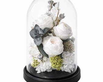 Preserved White Peony Under Glass Dome | Timeless Floral Object