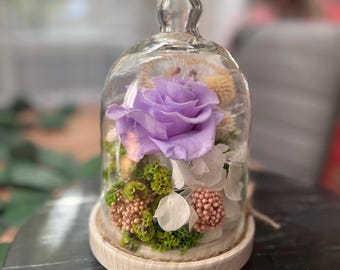 Ewige Rose Glaskuppel Geschenk