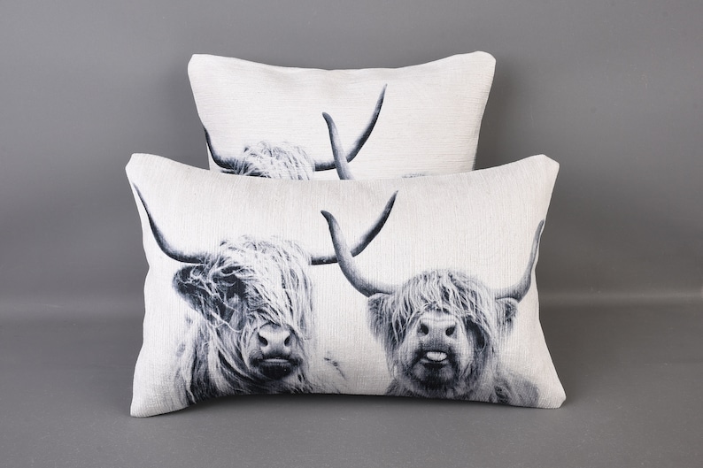 May include: Two white cushion covers featuring black and white images of Highland cattle. The cattle have long, shaggy hair and are looking directly at the camera.