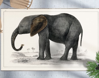 Black Rugs, Elephant Lover Gift, Elephant Rugs, Animal Rug, Gift Rug, Salon Decor Rug, Decorative Rug, Dining Room Rug, Man Cave Rug,