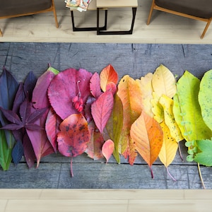 Autumn Colorful Leaves Rugs, Colorful Rug, Autumn Leaves Rugs, View Rug, Outdoor Rug, Cool Rug, Salon Decor Rug, Gift For Her, Luxury Rug,