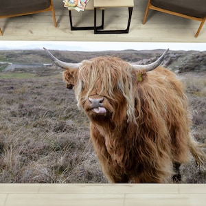 Scottish Highland Cattle Landscape Rug, Cattle Horn Rug, Horn Rug, Animal Rugs, 3D Printeds Rug, Bath Rug, Brown Rug, Chenille Rug,