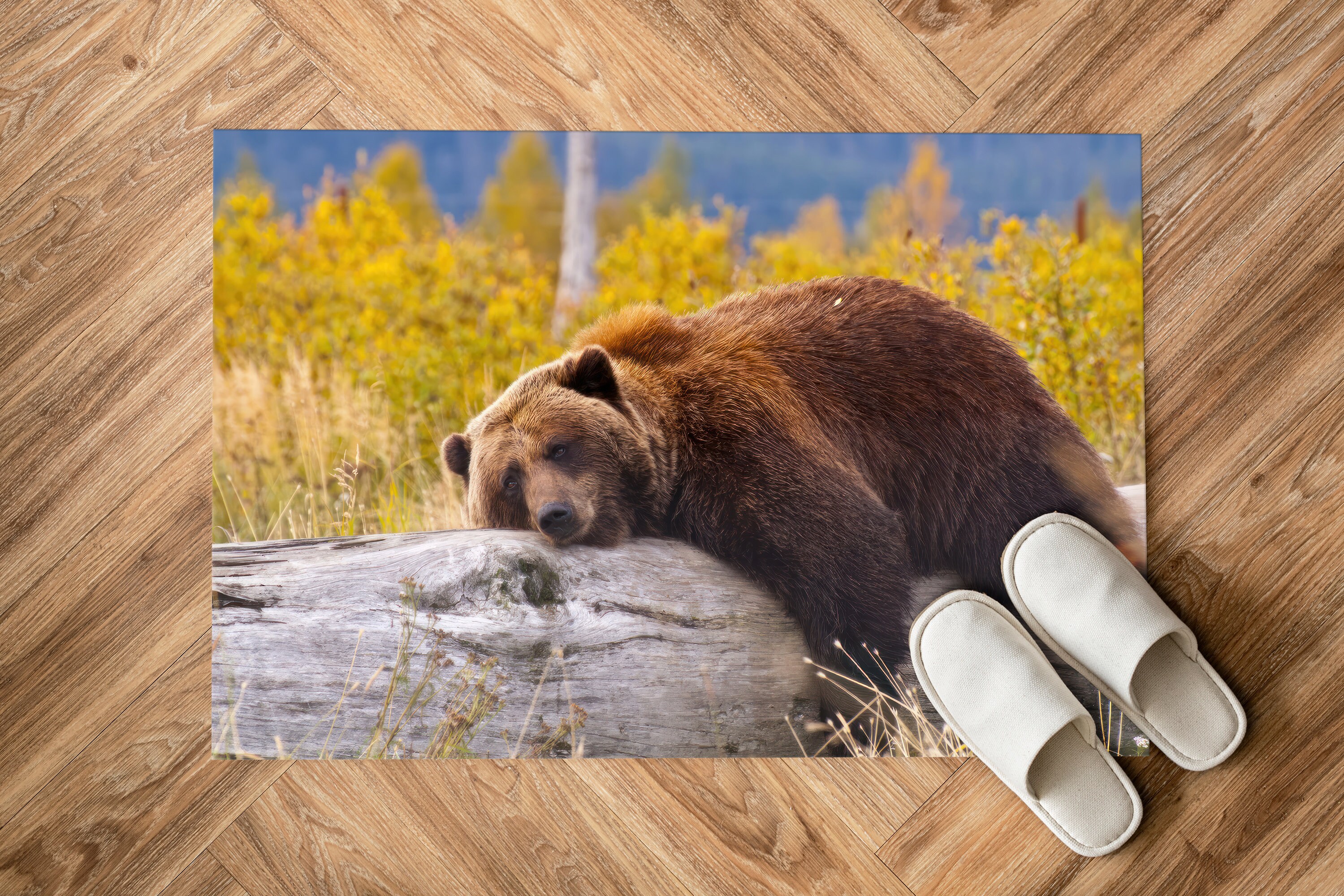 Brown Bear Resting on a Log Rug Funny Rug Bear Rug Animal - Etsy