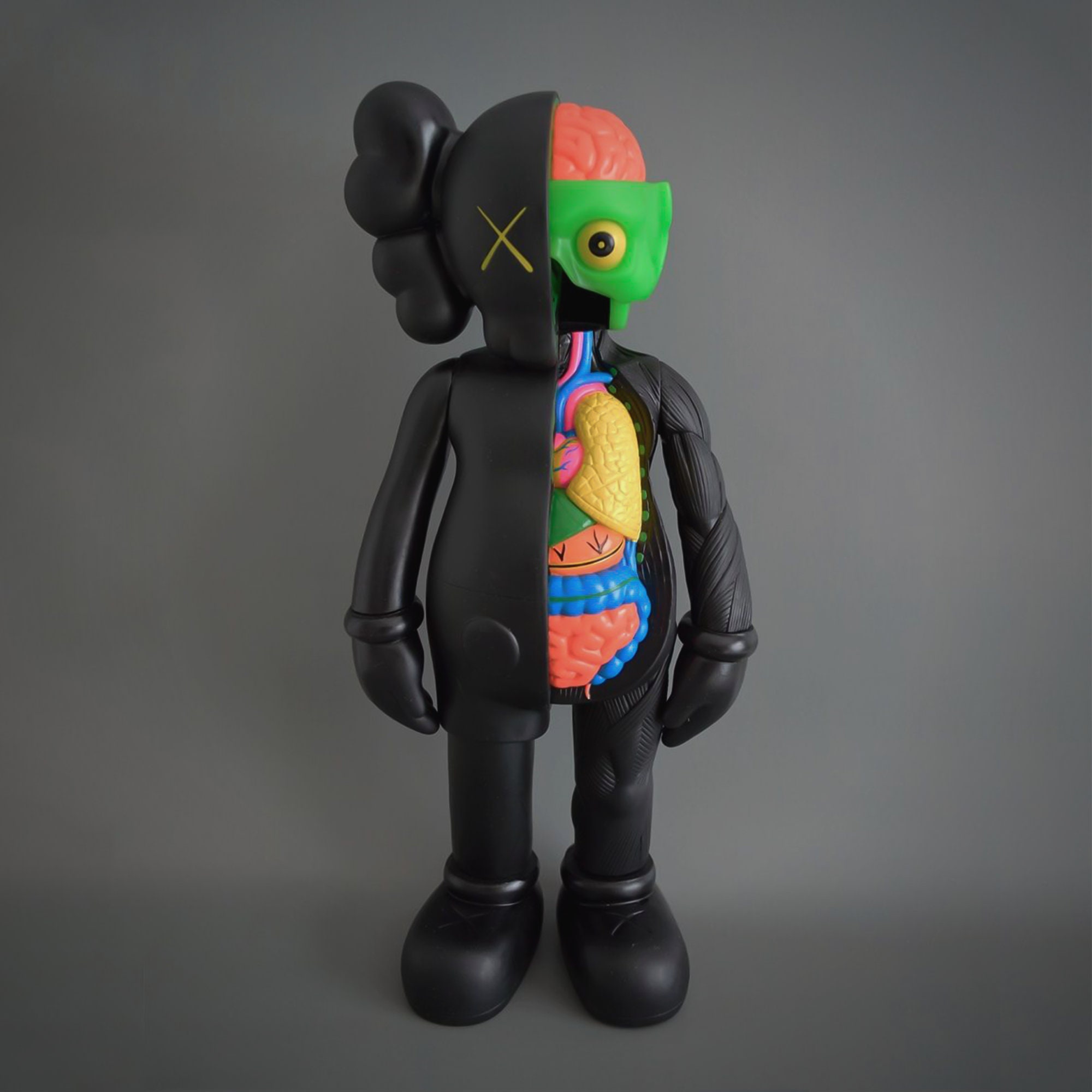 Kaws Dissected - Etsy Canada