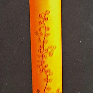 May include: A walking cane featuring a bright orange upper shaft decorated with a delicate, dark brown floral vine pattern. The lower portion of the shaft is a dark, weathered brown color, and the base is finished with a gray rubber tip.