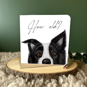 Tarjeta divertida para perro. Tarjeta de cumpleaños en blanco. ¿Cuántos años? Border Collie. Regalo para amantes de los perros. Tarjeta para mascotas. Tarjeta divertida para mamá de perro. Tarjeta atrevida para la vejez.