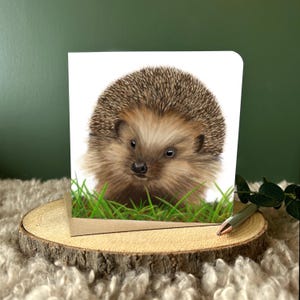 Carte hérisson Carte blanche Carte animal Cadeau pour amoureux de la faune Carte d'anniversaire Carte faite main Artiste animalier Carte d'anniversaire hérisson