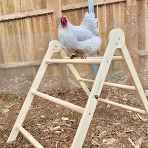 Chicken Perch Ladder & Roosting Bar - Extra Large - Sturdy Chicken Toy and Coop Accessory - Easy Assembly Chicken Perch