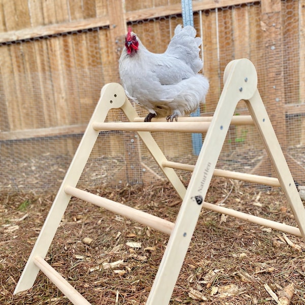 Chicken Perch Ladder & Roosting Bar - Extra Large - Sturdy Chicken Toy and Coop Accessory - Easy Assembly Chicken Perch