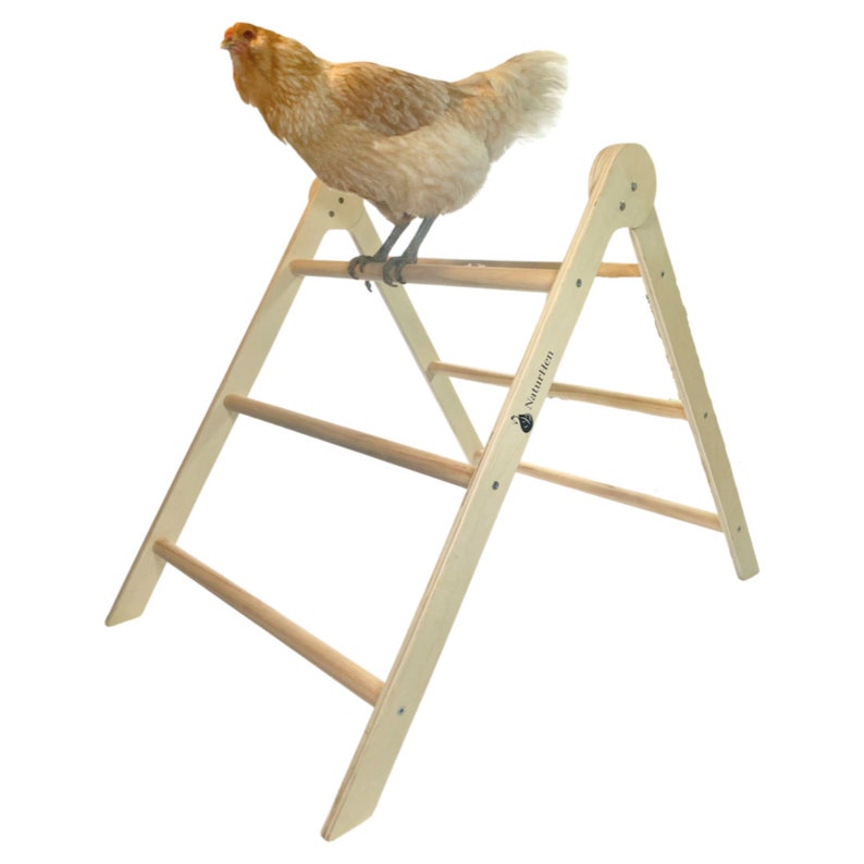 Chicken Perch Ladder & Roosting Bar Extra Large Sturdy Chicken Toy and