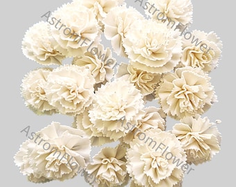 Sola Wood Flowers, Carnation Style / Rustic Wedding Decor, Eco Friendly Bridal Bouquet, Craft Supplies