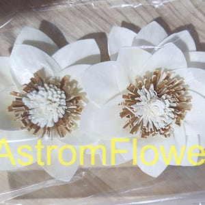 Sola Wood Girasole Fiori secchi naturali ed ecologici Decorazioni per la casa per matrimoni e fiori per qualsiasi evento