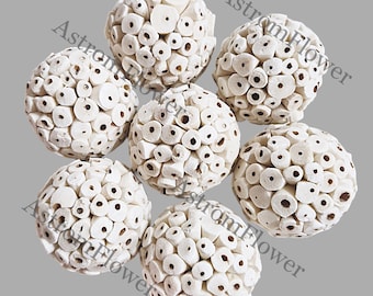Sola Wood Pet Toy Balls, Natural Chewable Bird Toys (Set of 50/100pcs)