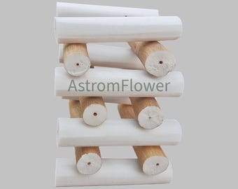 Natural Sola Wood Sticks, 12cm, craft supplies, bird toys, chinchillas toy