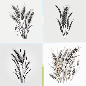 以下が含まれることがあります： 小麦の穂の白黒のイラストが4つあります。小麦の穂は写実的なスタイルで描かれており、さまざまな位置に配置されています。イラストは白い背景に配置されています。