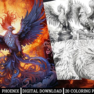 Phoenix Coloring Pages,for Adults Instant Download Grayscale Coloring ...