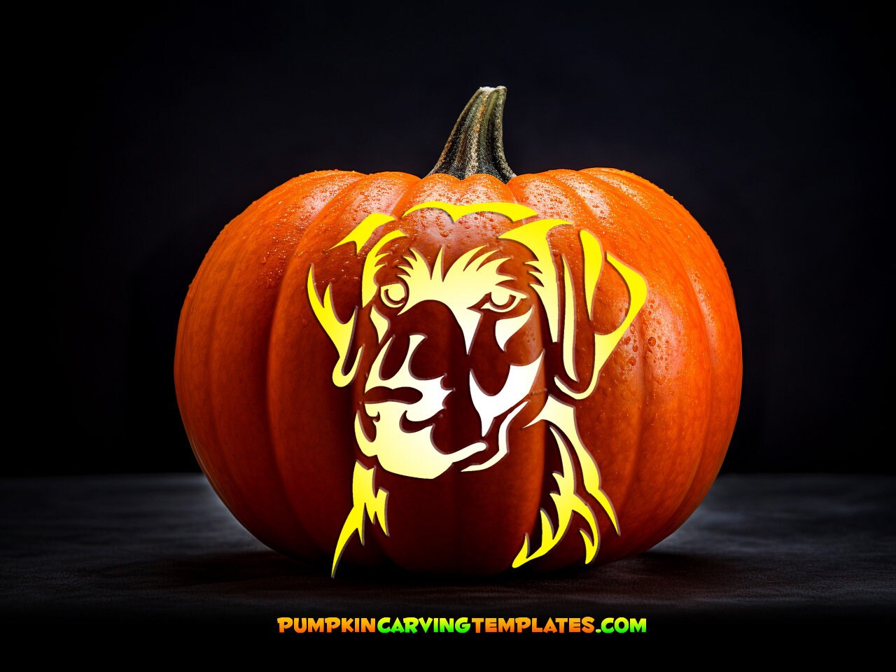 PUMPKIN CARVING TEMPLATE Instant Stencil Dog Labrador Cute Digital Download Print at Home Today Halloween Fun for Whole Family Easy to Use - Etsy pumpkin-carving-template-instant-stencil-dog-labrador-cute-digital-download-print-at-home-today-halloween-fun-for-whole-family-easy-to-use-etsy