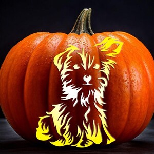 May include: An orange pumpkin with a carved dog design. The dog is depicted in a sitting position with a fluffy coat and a friendly expression. The carving is highlighted in yellow, creating a festive Halloween decoration.
