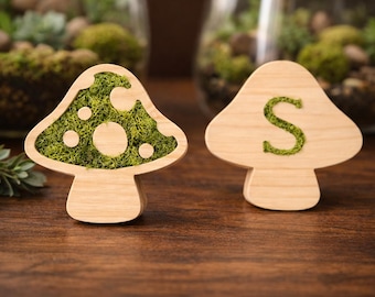 Moss Filled Wooden Mushroom | Personalized Cottagecore Decor