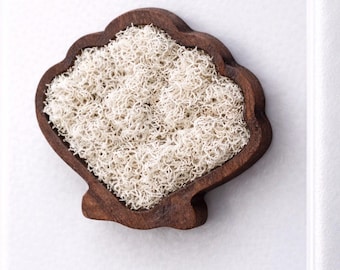 Imán de nevera con forma de concha marina, imán de concha de musgo blanco, decoración costera, cocina de casa de playa, regalo del océano, imán minimalista, regalo para mamá