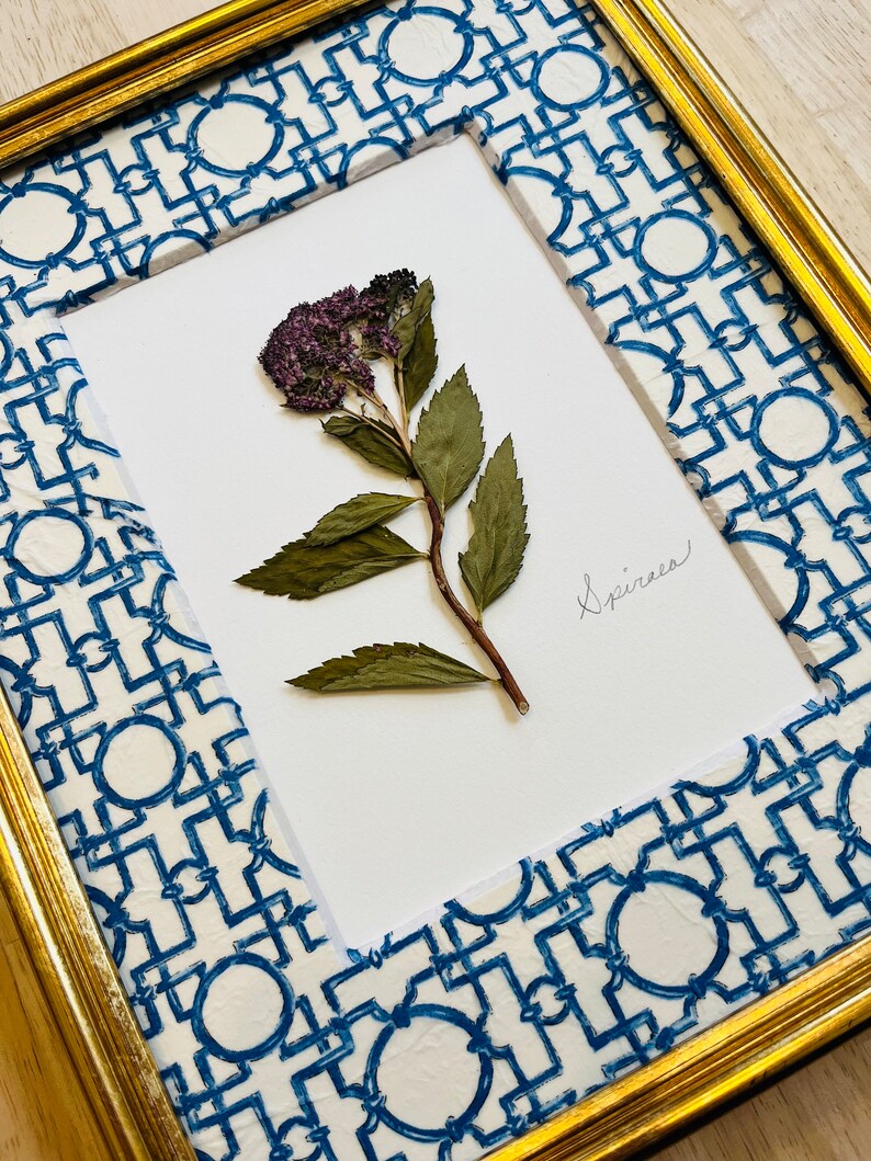 Pressed Flowers ORIGINAL Pressed Spiraea Flower Artwork With Decoupage
