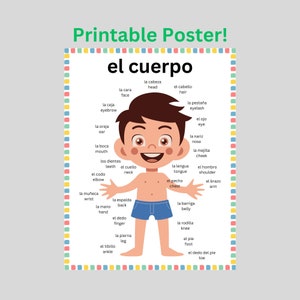 Body parts in Spanish & English Poster download, Spanish basics, Spanish Reference guide, Spanish teacher classroom, Printable, Espanol