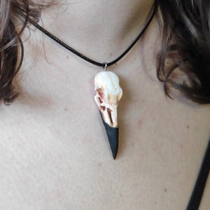 Raven skull necklace | skull necklace | animal skull necklace | bone jewelry raven skull necklace | skull necklace women