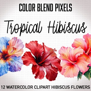 Hibiscus Flower PNGs - Tropical Hawaiian Floral Watercolor Clipart Bundle
