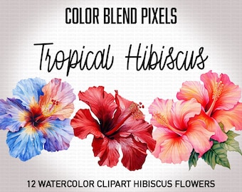 Hibiscus Flower PNGs - Tropical Hawaiian Floral Watercolor Clipart Bundle