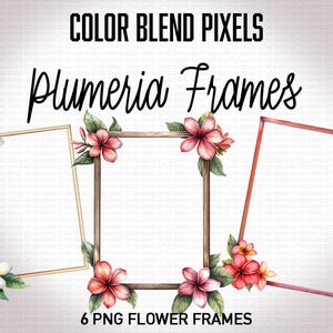 Könnte beinhalten: Digitales Kunstwerk mit sechs PNG-Blumenrahmen mit Plumeria-Blüten. Die Rahmen sind in verschiedenen Formen und Farben gehalten, darunter Gold, Braun und Rot. Der Text "COLOR BLEND PIXELS" und "Plumeria Frames" ist oben und "6 PNG FLOWER FRAMES" unten zu sehen.