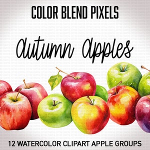 Pacote de clipart de maçãs em aquarela - 12 maçãs com fundo transparente PNG