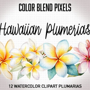 Hawaiian Plumerias - Watercolor Clipart, Flower PNG