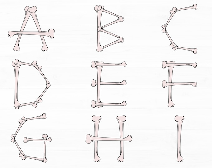 Bone Font SVG, PNG, DXF - Etsy Canada